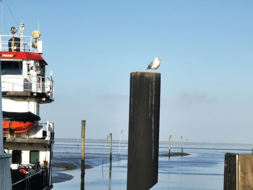 Schicke Ferienwohnung Julia An Der Nordsee Lutetsburg المظهر الخارجي الصورة